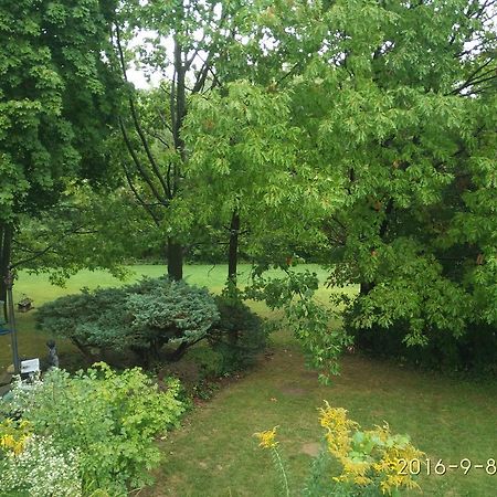 多伦多邓肯公园民宿 Toronto Duncan Park Guesthouse Dış mekan fotoğraf