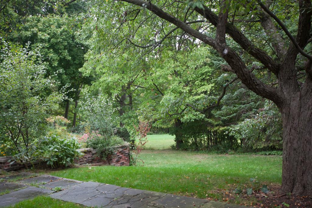 多伦多邓肯公园民宿 Toronto Duncan Park Guesthouse Dış mekan fotoğraf