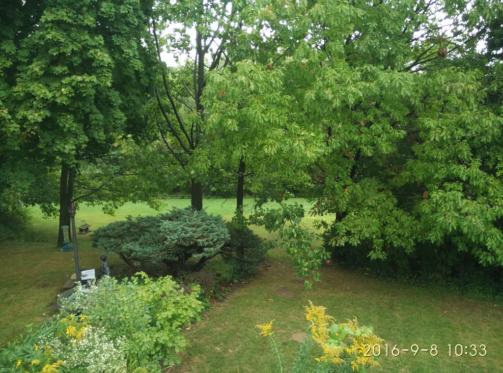 多伦多邓肯公园民宿 Toronto Duncan Park Guesthouse Dış mekan fotoğraf